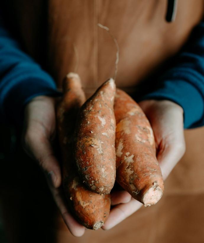 Terra Alter Patate douce